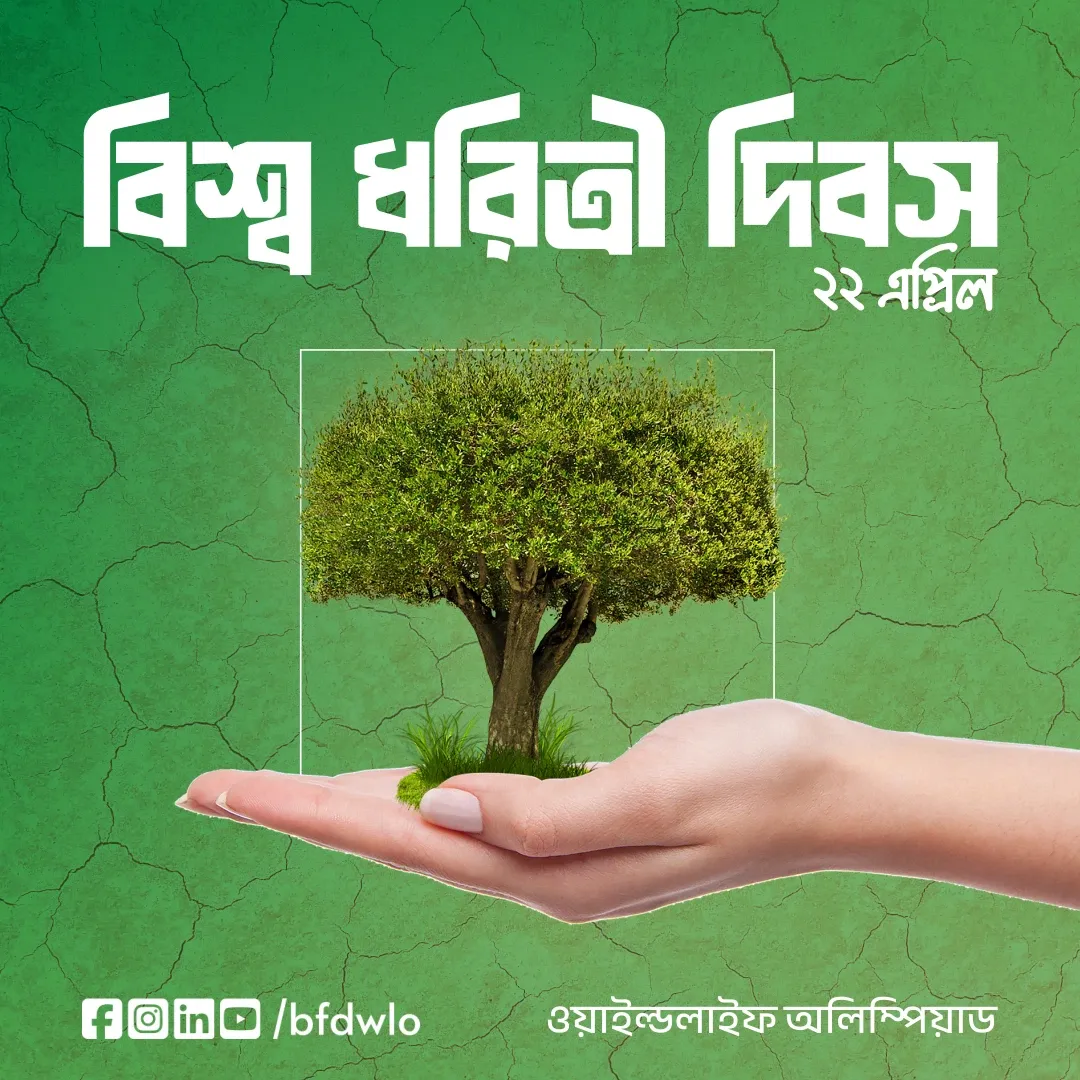 World Earth Day post