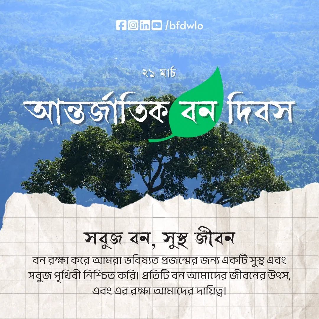International Day of Forests post